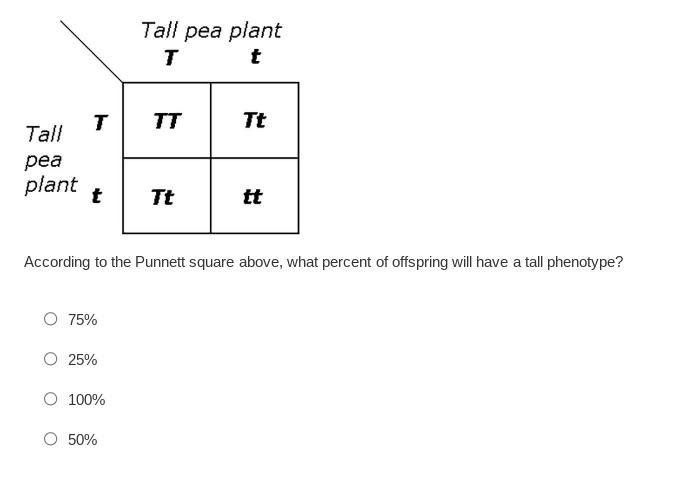 24. According to the Punnett square above, what percent of offspring will have a tall-example-1