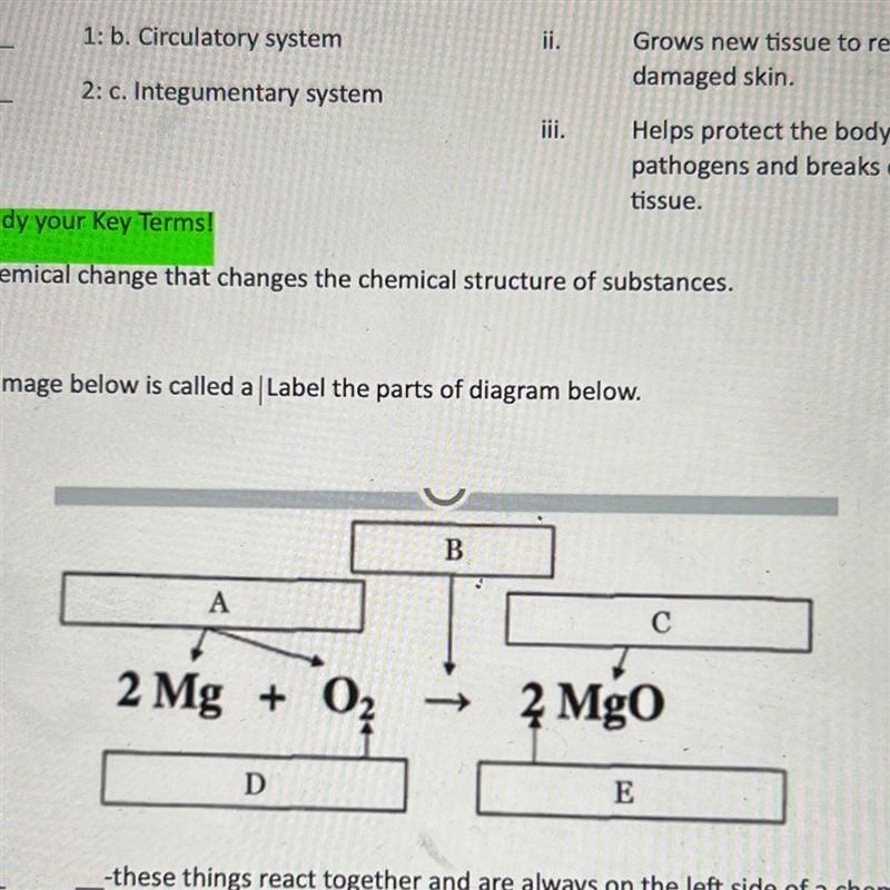 The image below is called a Label the parts of diagram below.-example-1