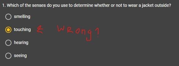 Which of the senses do you use to determine whether or not to wear a jacket outside-example-1