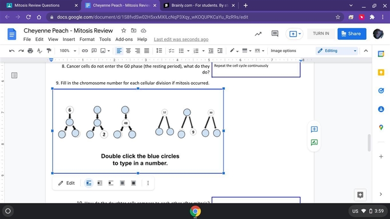 What is the chromosome number for each is cell division occured-example-1