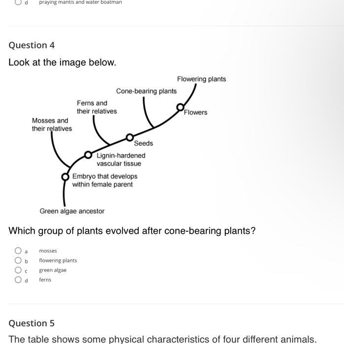 Im stuck on this- anyone know what it is??-example-1