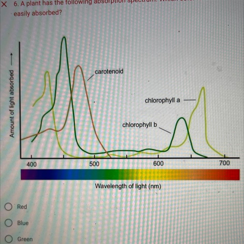 A plant has the following absorption spectrum. Which color is not easily absorbed-example-1