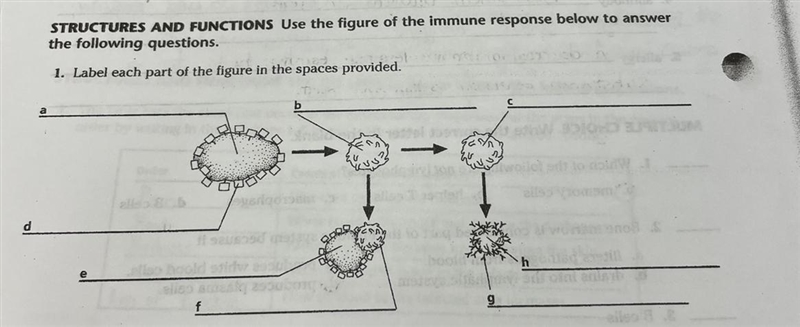 Been stuck on this overnight while studying can someone help me please?-example-1