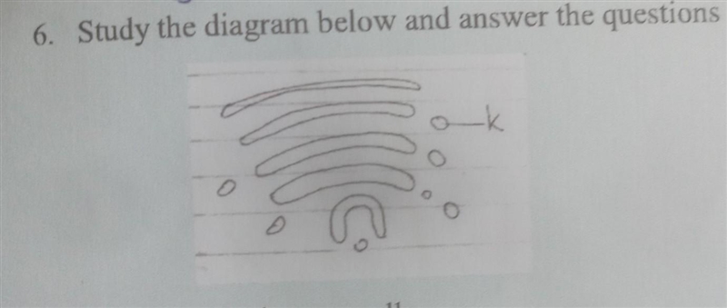 A.Identify the organelle b.Name the structure labelled K c.state two functions of-example-1