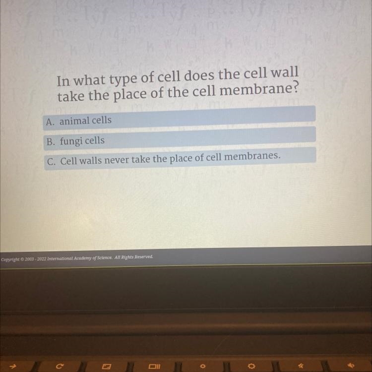 In what type of cell does the cell wall take the place of the cell membrane? A. animal-example-1