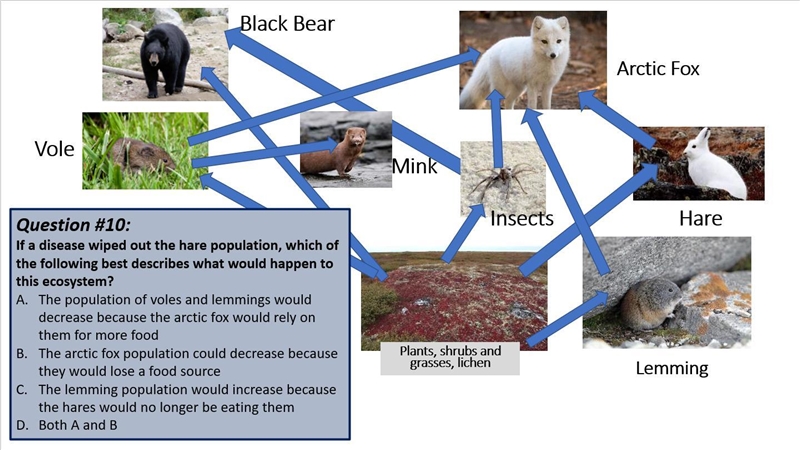 If a disease wiped out the hare population, which of the following best describes-example-1