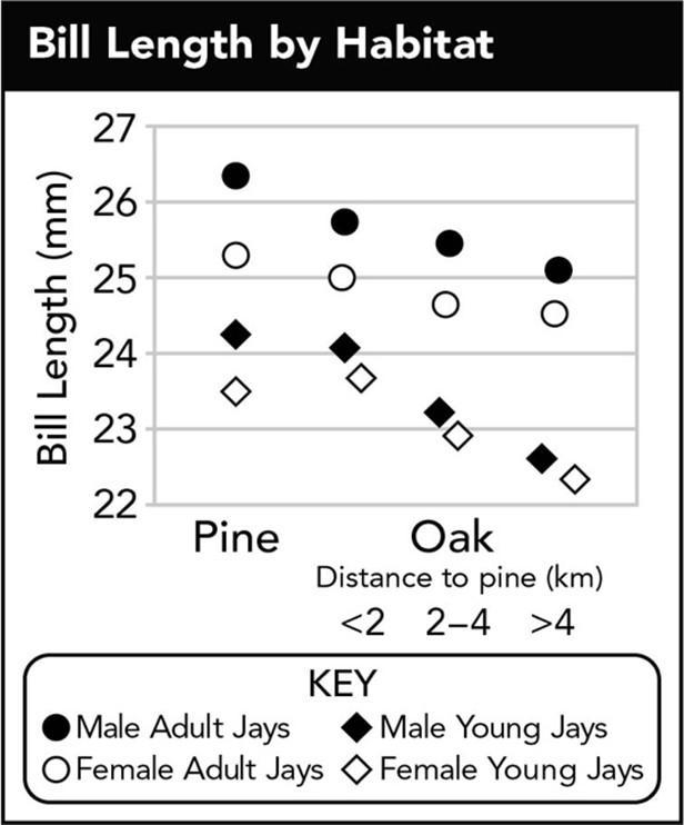 3. The graph below shows the data you collected about bill lengths in two different-example-1