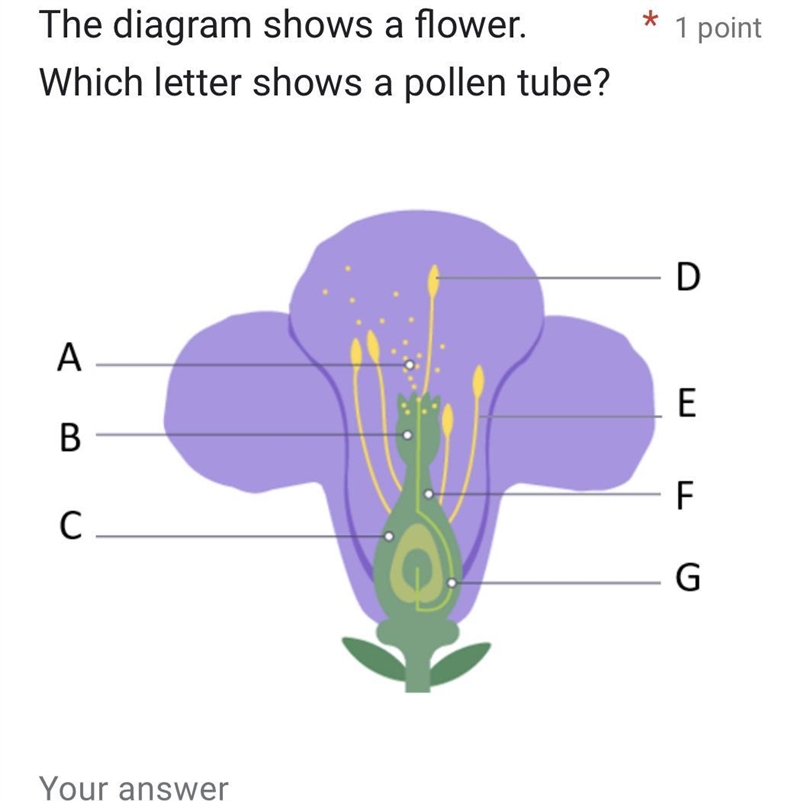 L pls help me I am stuck-example-1