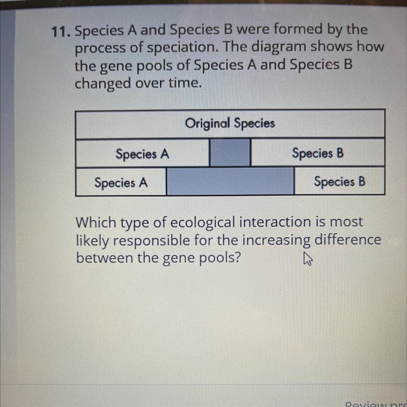 11. Species A and Species B were formed by the process of speciation. The diagram-example-1