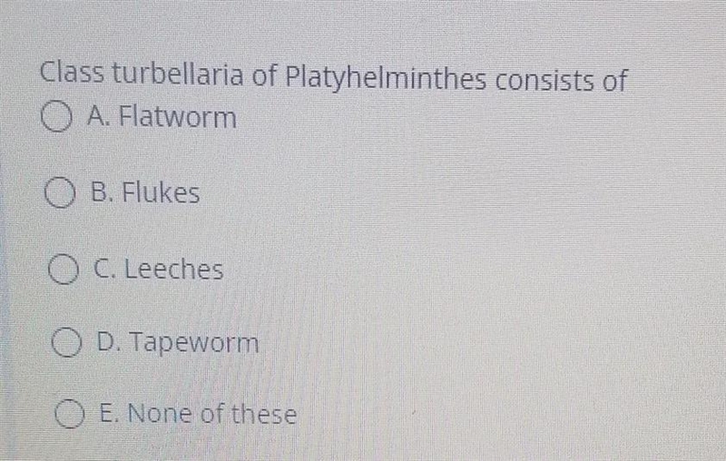 Class turbellaria of Platyhelminthes consists of: A) FlatwormB) Flukes;C) Leeches-example-1