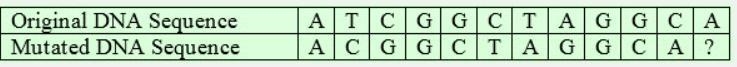 What type of mutation has occurred in the following example? A.) deletion mutation-example-1