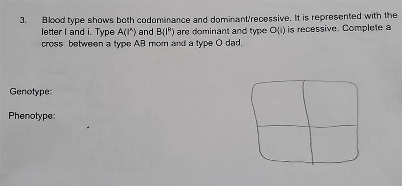 What is the genotype and phenotype?​-example-1