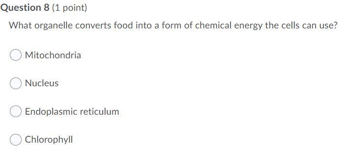 What organelle converts food into a form of chemical energy the cells can use? Mitochondria-example-1