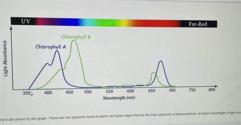 Which wavelength of light would photosynthesis be at its lowest? A) 550nm B) 450nm-example-1