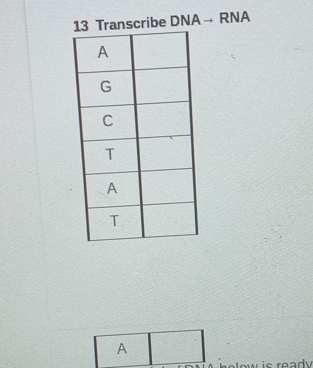 Transcribe DNA___RNA. I need help​-example-1