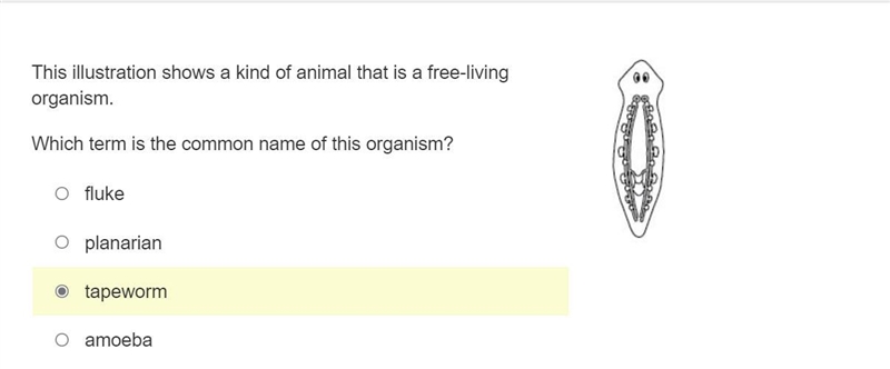 This illustration shows a kind of animal that is a free-living organism. Which term-example-1