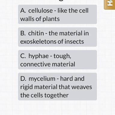 Wbat makes up the cell walls of fungi-example-1