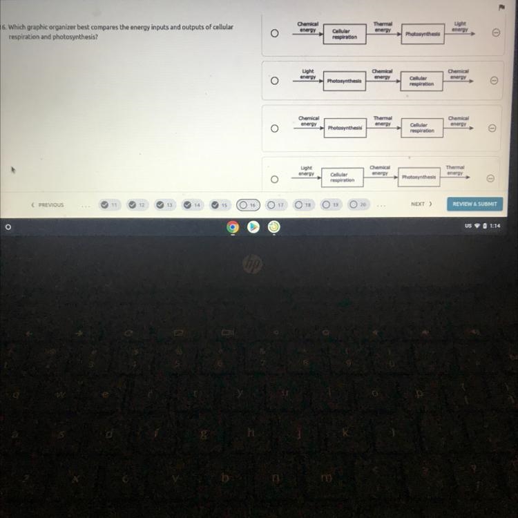 HelpppppppppppppplllllWhich graphic organizer best compares the energy inputs and-example-1