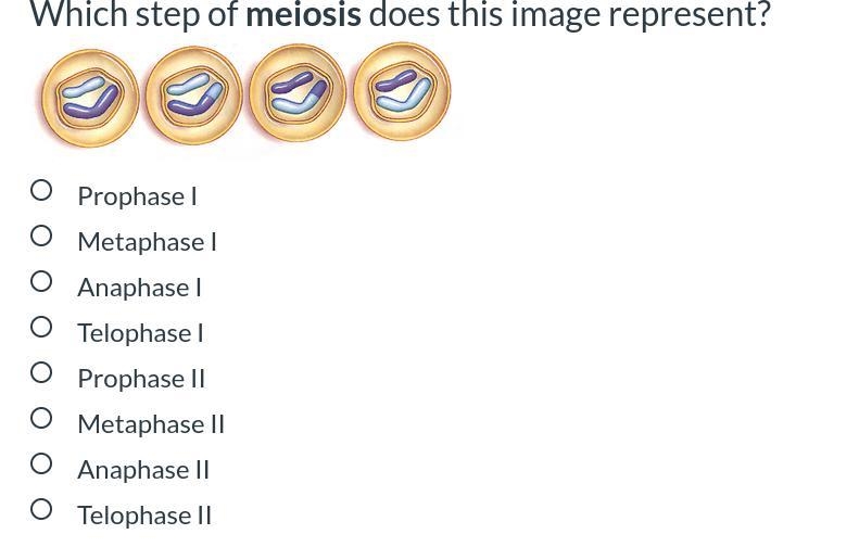 I need help please help me-example-1