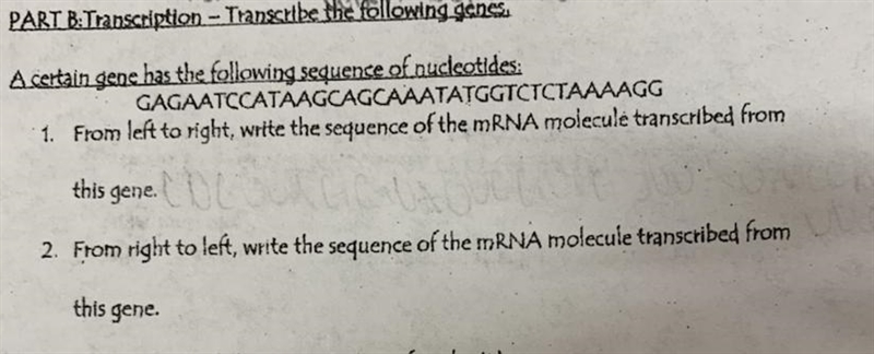 Someone help me!! I’m not sure how to do this-example-1