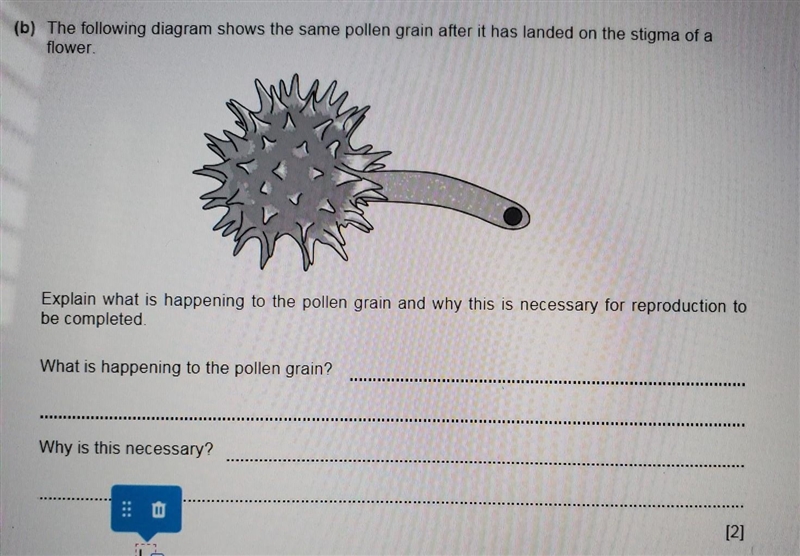 Please help me with this question..asap​-example-1