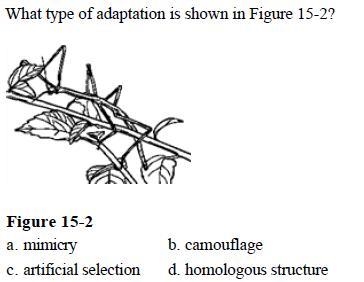 What type of adaptation shown in figure 15-2?-example-1