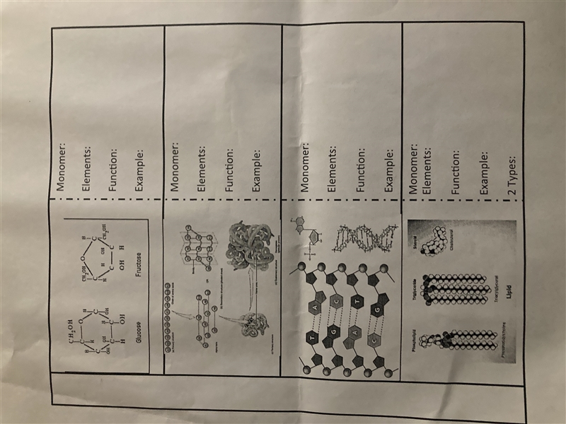 How do you do this? I need this complete by Monday pls help me-example-1