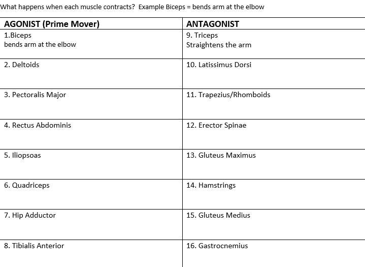 HELP ME FILL OUT THIS CHART PLEASE!!!!!!!!!!!!!! I NEED HELP answer the ones you know-example-1