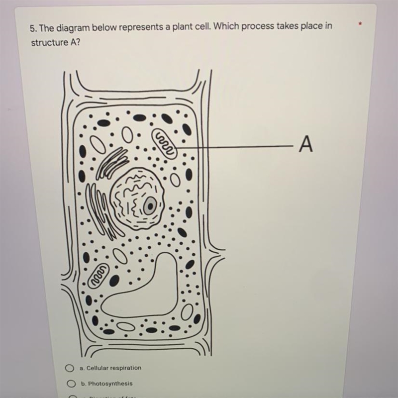 I need help. The diagram below represents a plant cell. Which process takes place-example-1