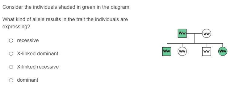 Consider the individuals shaded in green in the diagram. What kind of allele results-example-1