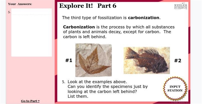 Please help me ASAP! science 7th grade please help me ASAP!-example-1