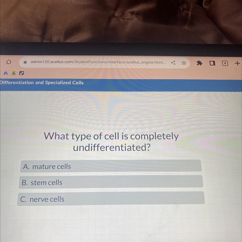 What type of cell is completely undifferentiated? A. mature cells B. stem cells C-example-1