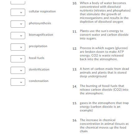 100 POINTS! PLEASE HURRY! Match these vocab terms to the best description.-example-2