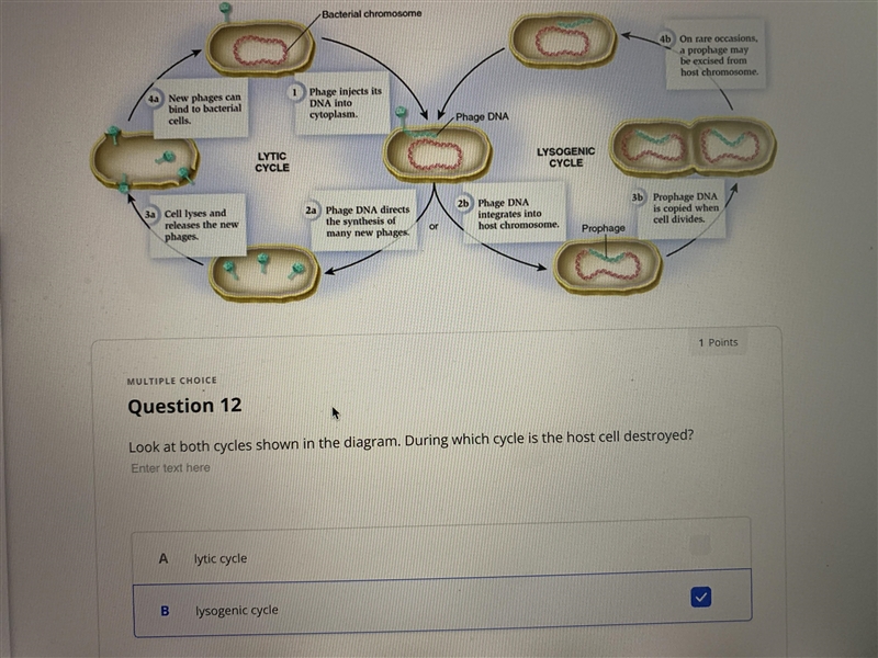 I need help with these questions-example-3