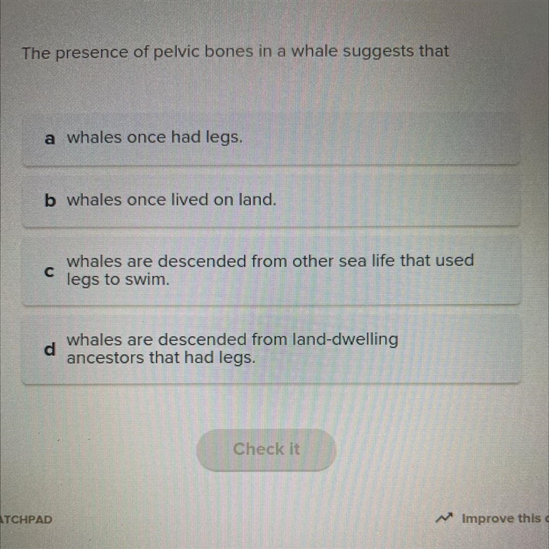 The presence of pelvic bones in a whale suggests that a whales once had legs, b whales-example-1