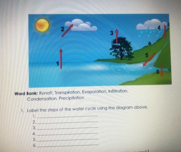 Label the steps of the water cycle-example-1