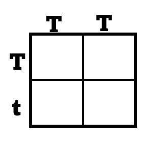 Based on the parent genotypes and using this Punnett Square, what percentage of offspring-example-1