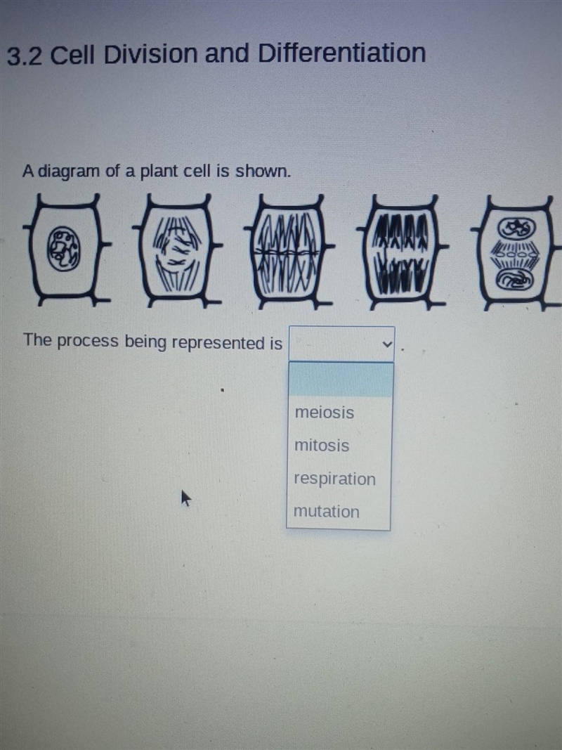 A diagram of a plant cell is shown. The process being represented is ____. A. Meiosis-example-1