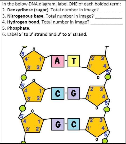 60 POINTS, pls asap! please answer these 6 quick questions.-example-1