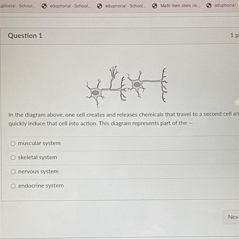 In the diagram above, one cell creates and releases chemicals that travel to a second-example-1