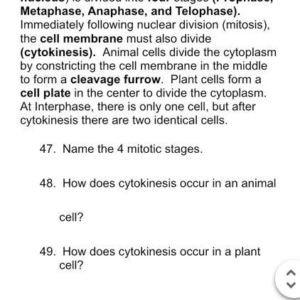 Please help me please please-example-1