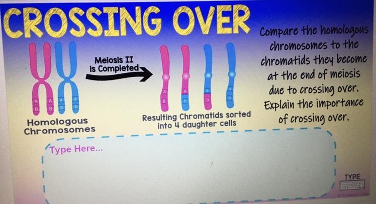 ........... crossing over-example-1