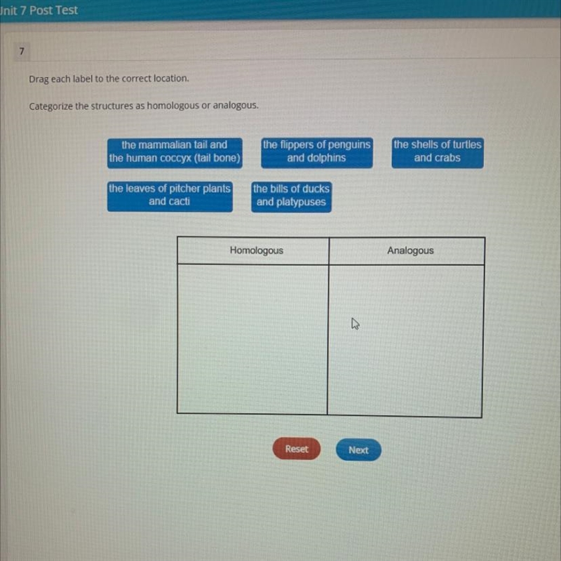 Drag each label to the correct location. Categorize the structures as homologous or-example-1