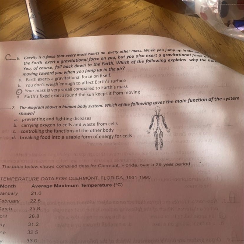 The diagram shows a human body system. Which of the following gives the main function-example-1