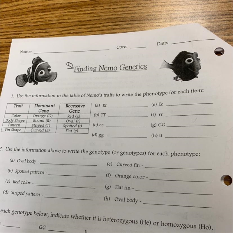 Finding Nemo Genetics 1. Use the information in the table of Nemo's traits to write-example-1