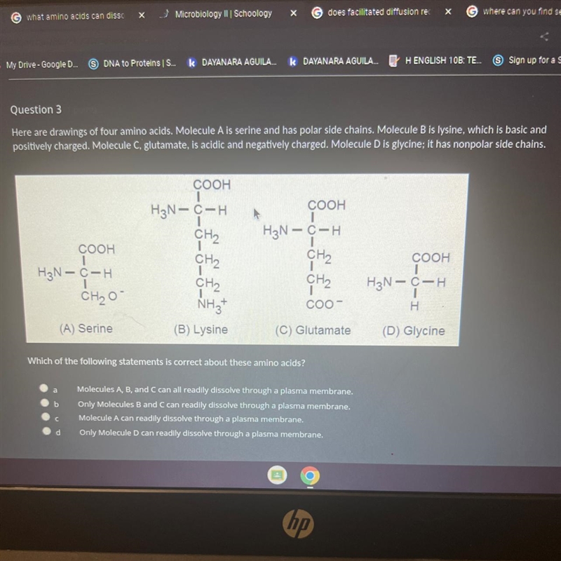 Which of the following statements is correct about these amino acids?-example-1