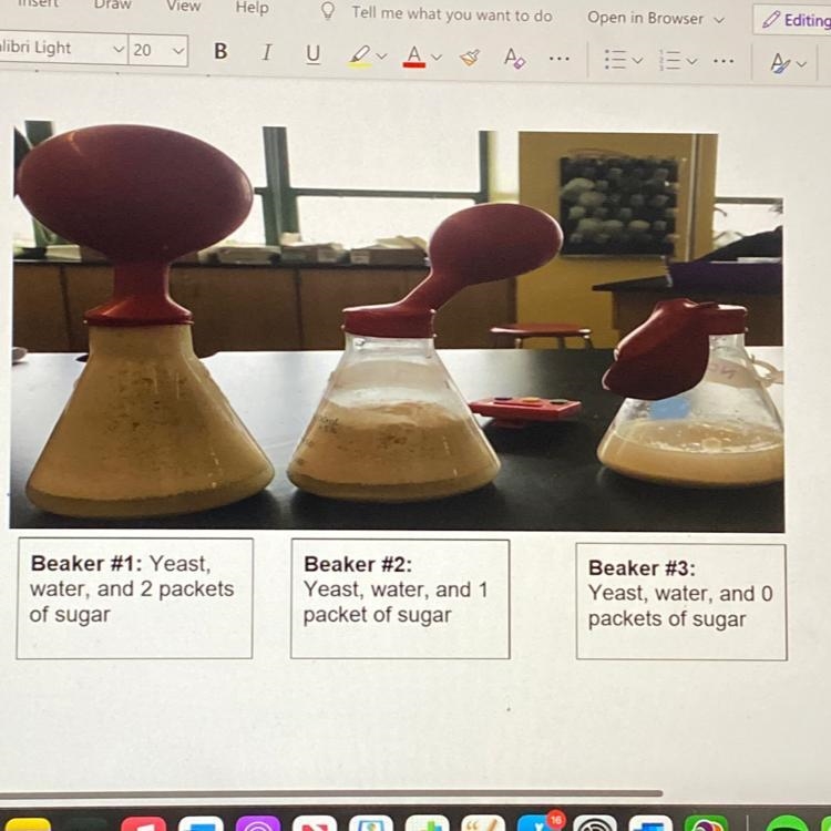 What do you notice about each beaker?-example-1