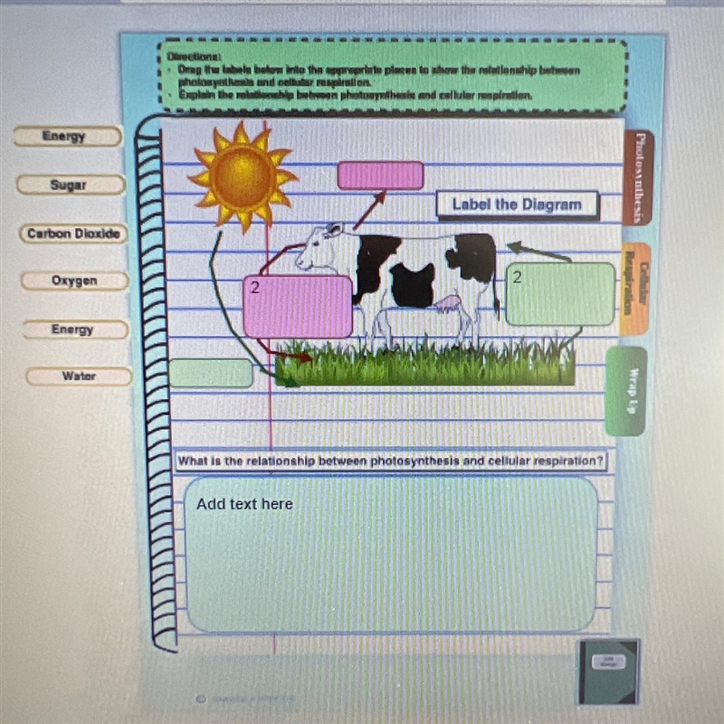 FILL THE DIAGRAM!! DUE IN 10 MIN PLEASE HELP-example-1