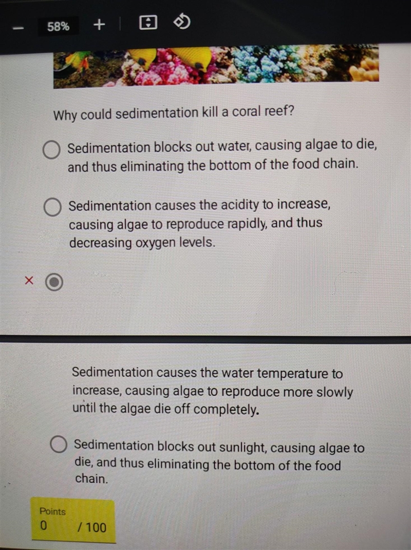 Why could sedimentation kill a coral reef ​-example-1