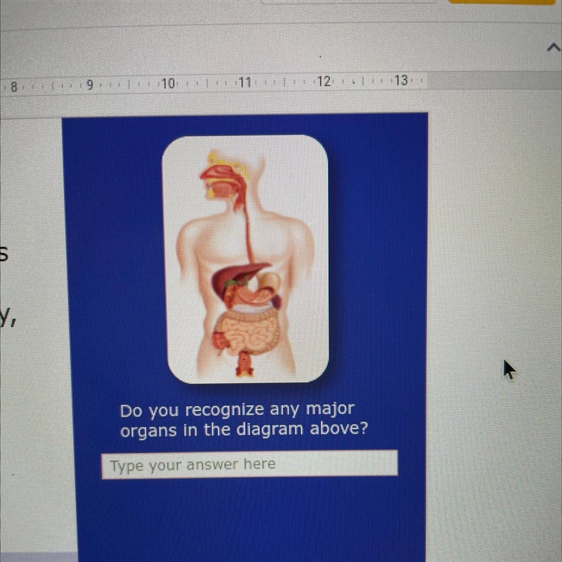 Do you recognize any major organs in the diagram above? Type your answer here-example-1